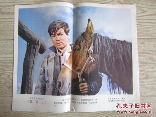 会计从业资格证哪里能做